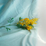 promozioni festa della donna